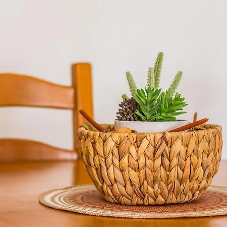 Areyas Pool By Alzira