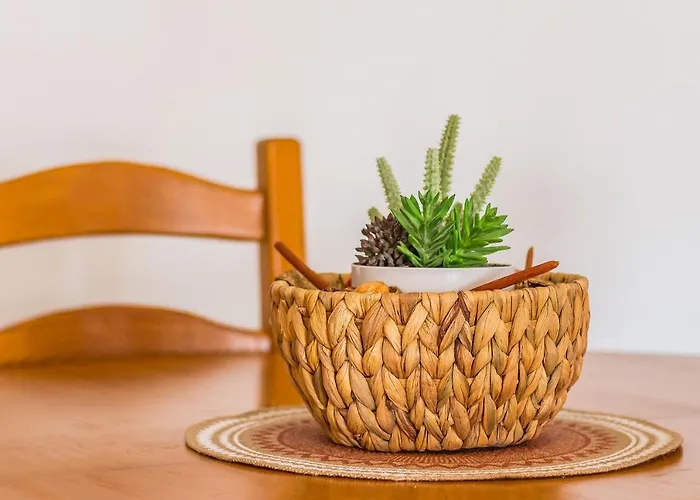 Areyas Pool By Alzira