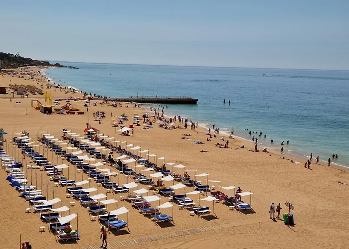 Areyas Pool By Alzira