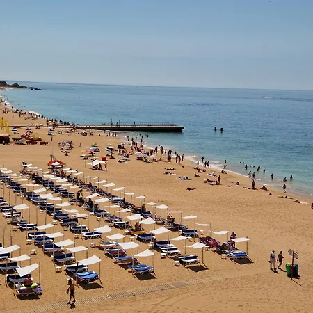 Areyas Pool By Alzira